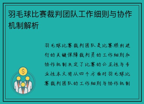 羽毛球比赛裁判团队工作细则与协作机制解析