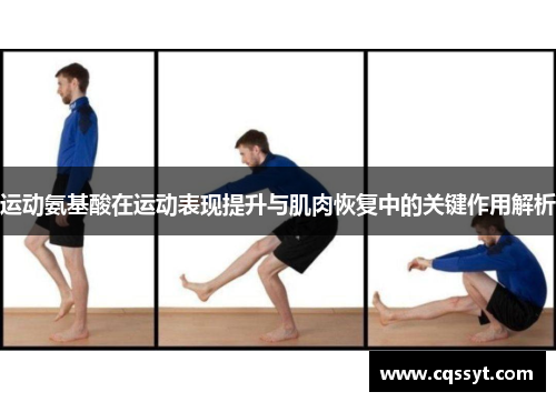 运动氨基酸在运动表现提升与肌肉恢复中的关键作用解析